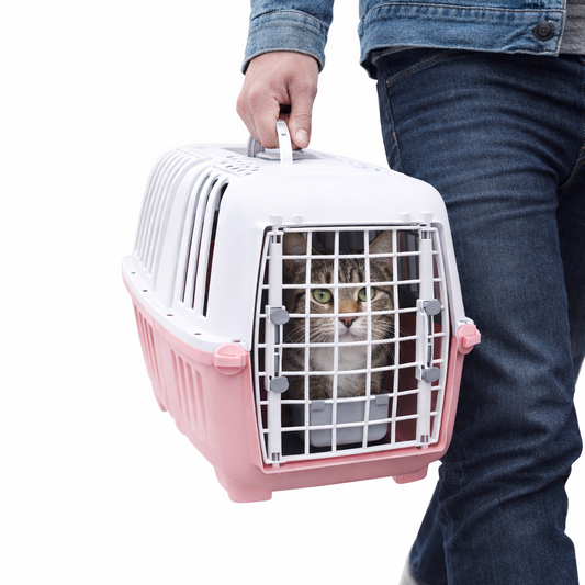 Transportadora para Mascota Ajolopet XDB-443 | Cómoda, Segura y Portátil