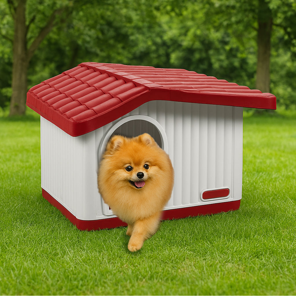 Casa Perro Chico Plástico Térmica Raza Pequeña Mini Ajolopet Rojo